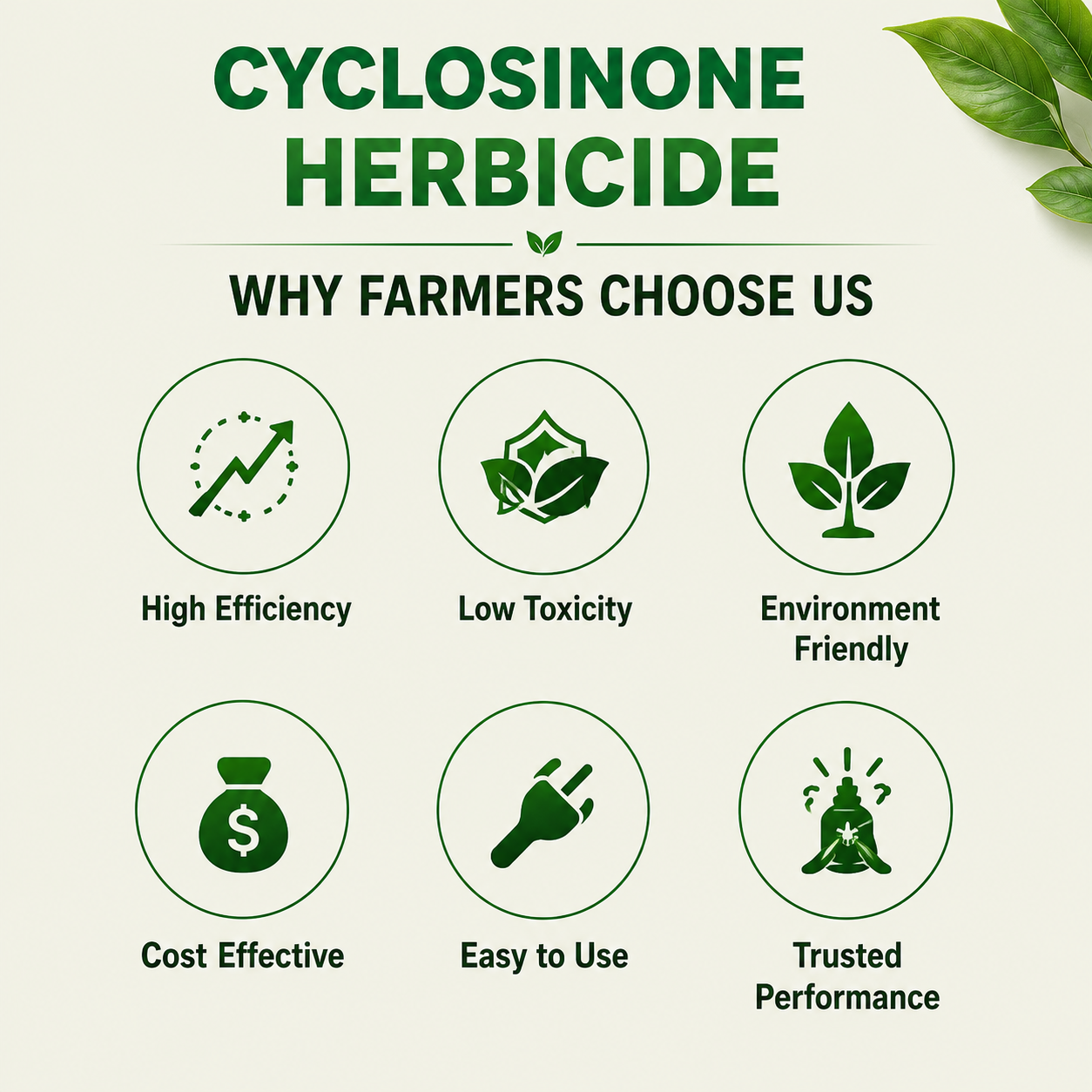 Cyclora Herbicide Granules | BUY 1 GET 1 FREE