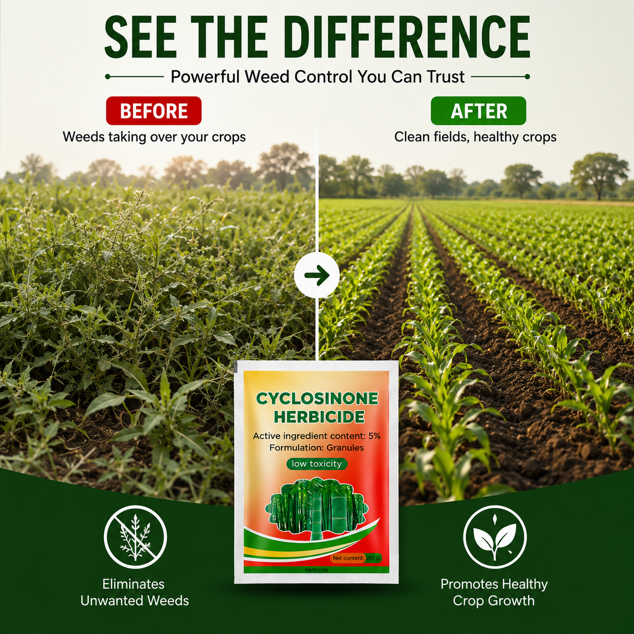 Cyclora Herbicide Granules | BUY 1 GET 1 FREE