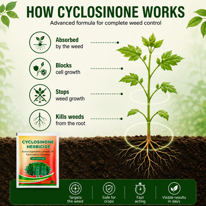 Cyclora Herbicide Granules | BUY 1 GET 1 FREE